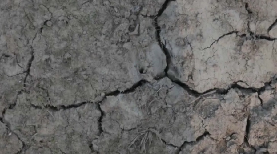 Страны ЦА столкнутся с заметным ростом температуры к 2050 году