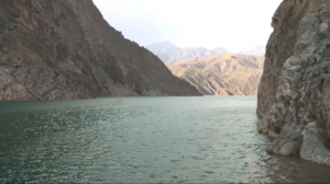 Казахстан и Узбекистан подсчитают объём потребляемой воды