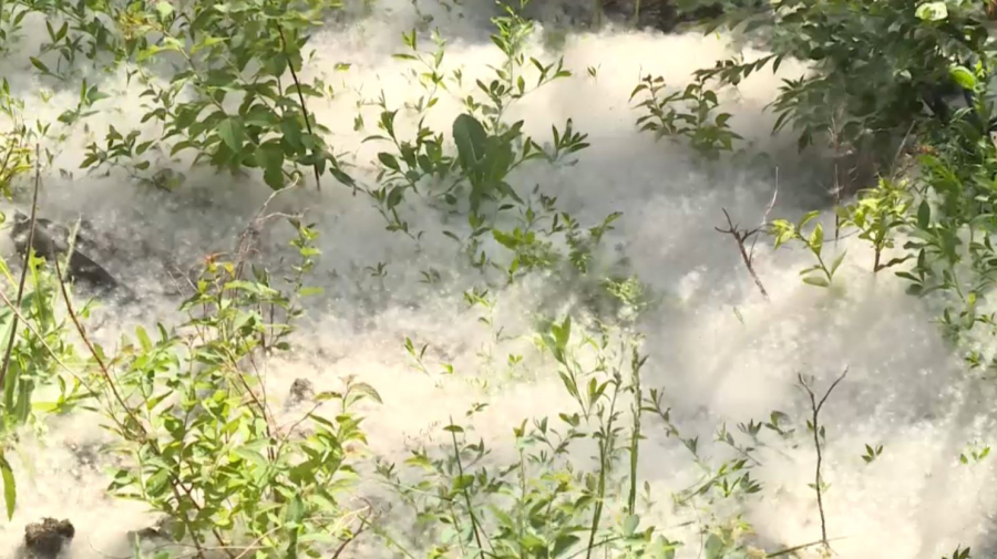 День борьбы с аллергией: Минздрав обновил стандарты медпомощи