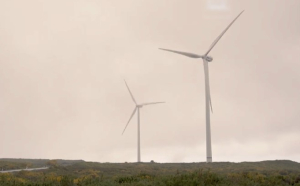 На острове Мадейра доля производства «зелёной» энергии достигла 33%