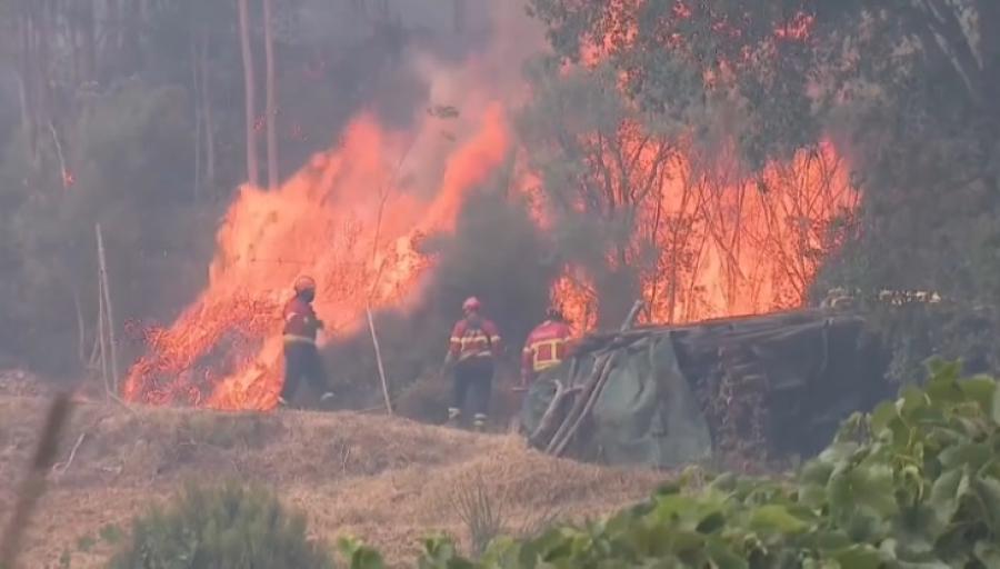 Пожары в Португалии тушат более 3 тысяч спасателей