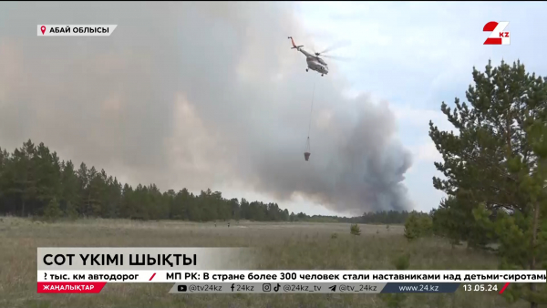 Орман өртіне кінәлілерге сот үкімі шықты