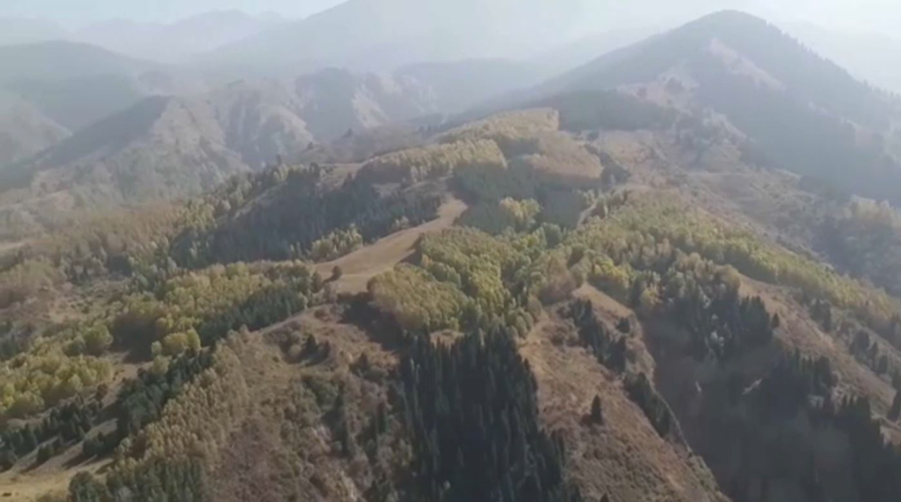 Высокий уровень пожарной опасности сохраняется в Алматы