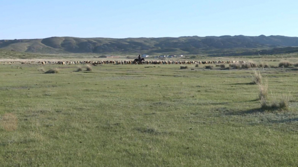 Шет ауданында 80 мың гектар жер мемлекет меншігіне қайтарылды