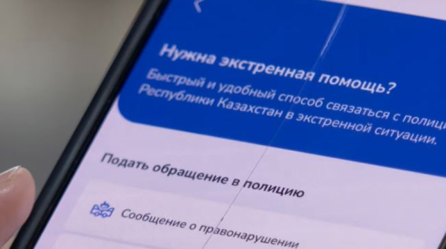 Сервис «Закон и порядок» появился в Egov Mobile