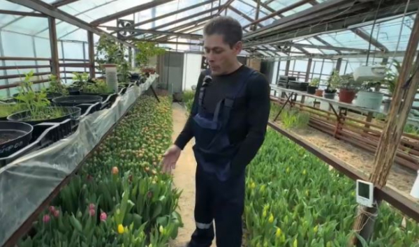 Житель Усть-Каменогорска создал цветочный оазис