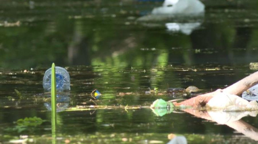 3,5 км реки Кошкарата благоустроят в Шымкенте