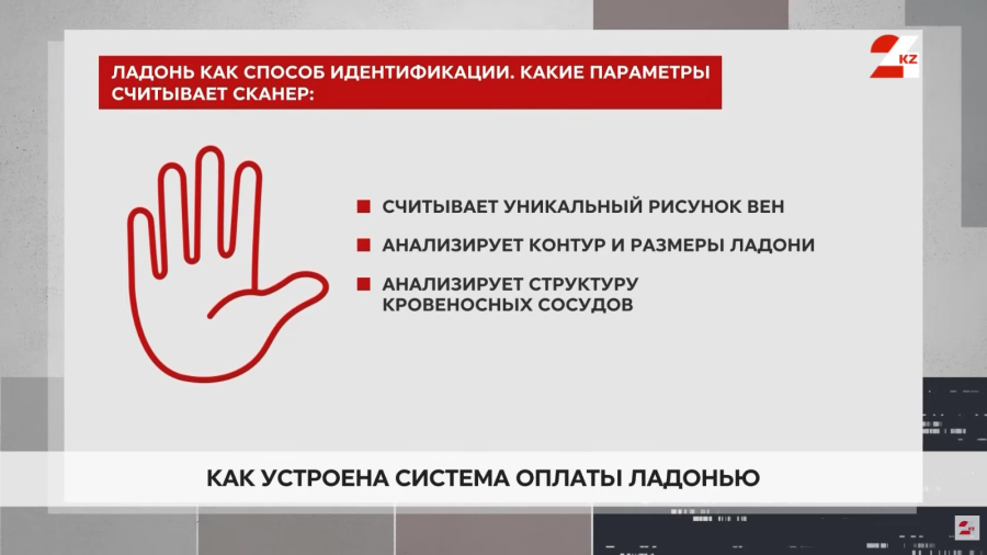 Оплата ладонью: насколько безопасна новая система?