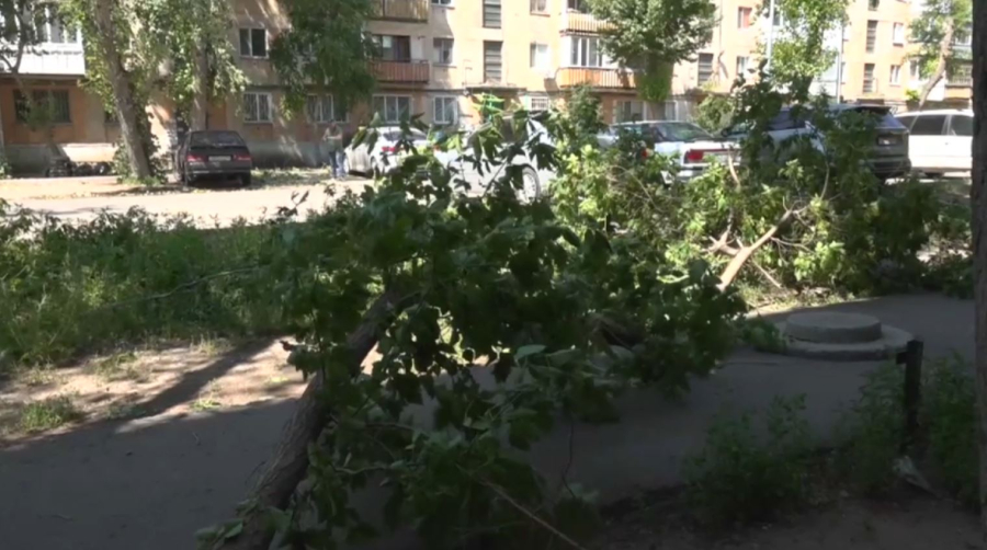 Ураган в Павлодаре: местные власти приступили к оценке ущерба