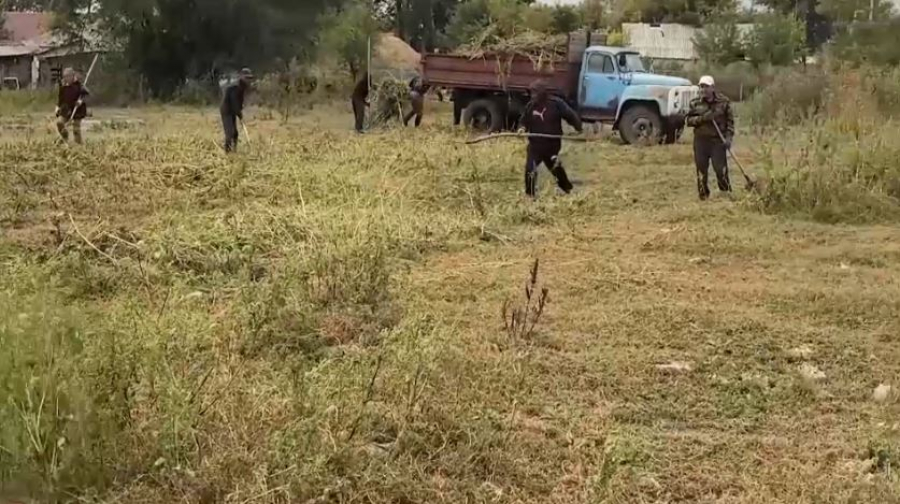 Бастаушы ауылында 9 тонна қоқыс шығарылды