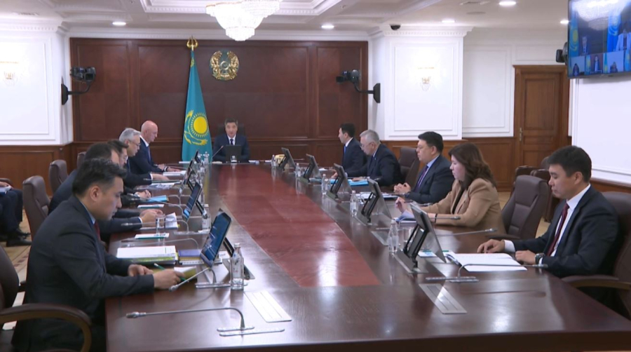 Елде мүмкіндігі шектеулі азаматтарды еңбекпен қамтуға басымдық беріледі