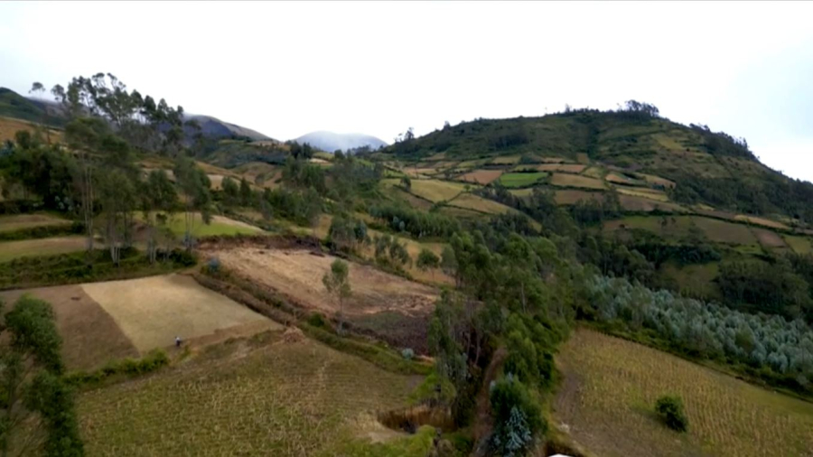 Әлемде ет пен сүт өнімдерінің бағасы арзандады