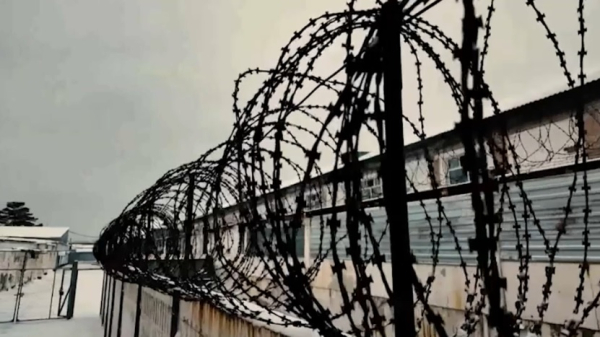 Тюремный срок планируют сокращать за чтение книг в Узбекистане