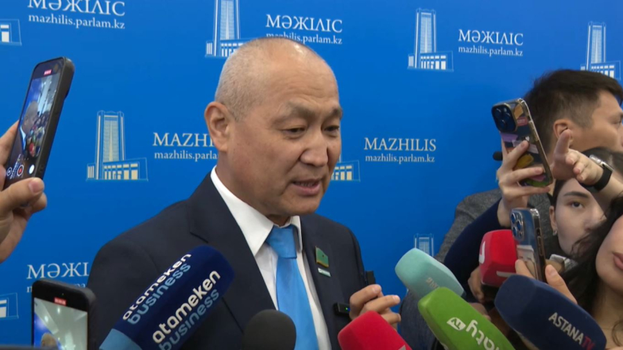 ЛГБТ насихаты заңмен шектелуі мүмкін