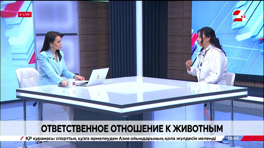 Ответственное отношение к животным. Акнур Турдалиева