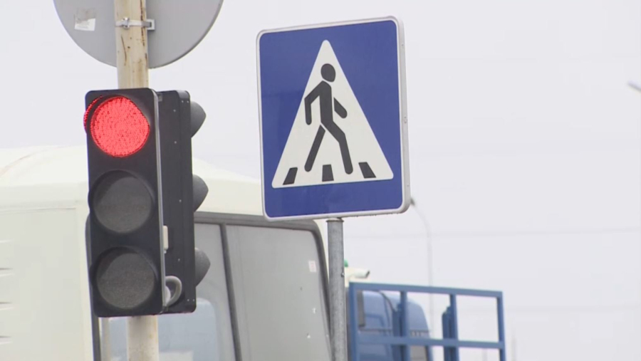 Открывать автошколы с разрешения МВД предлагают в Казахстане