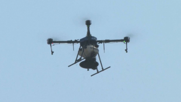 Дроны помогают восстанавливать леса в Рио-де-Жанейро