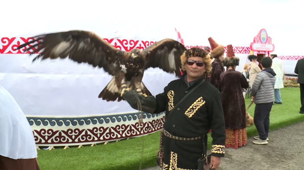 Как развиваются национальные виды спорта