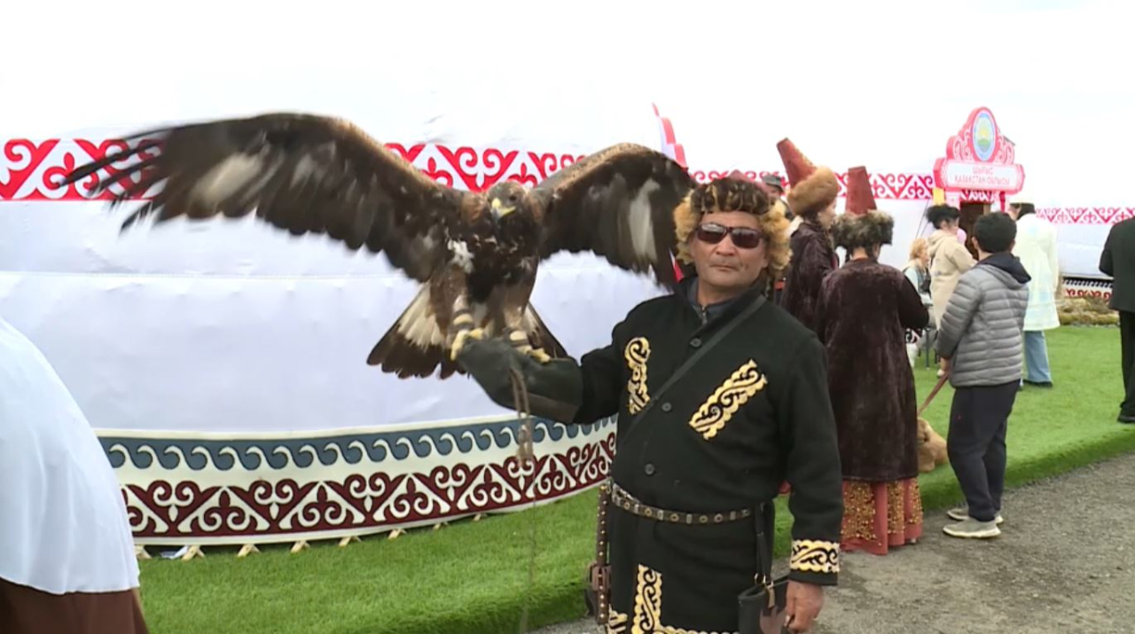 Как развиваются национальные виды спорта