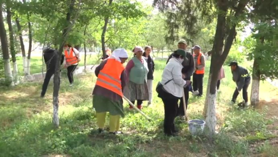 Жетісайлықтар жаппай тазалық шарасын өткізді