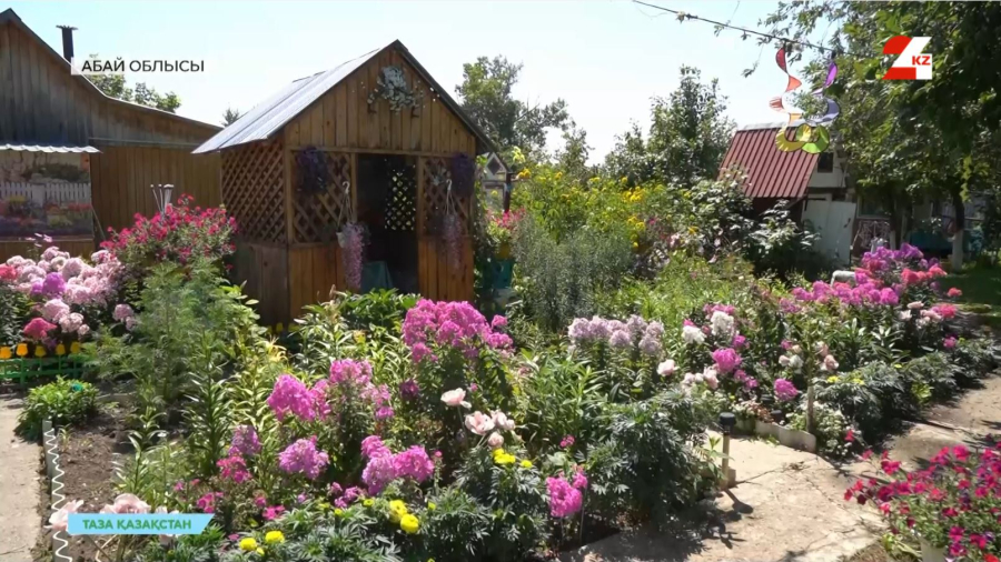 Бородулиха ауданы тұрғындарының экологиялық мәдениеті