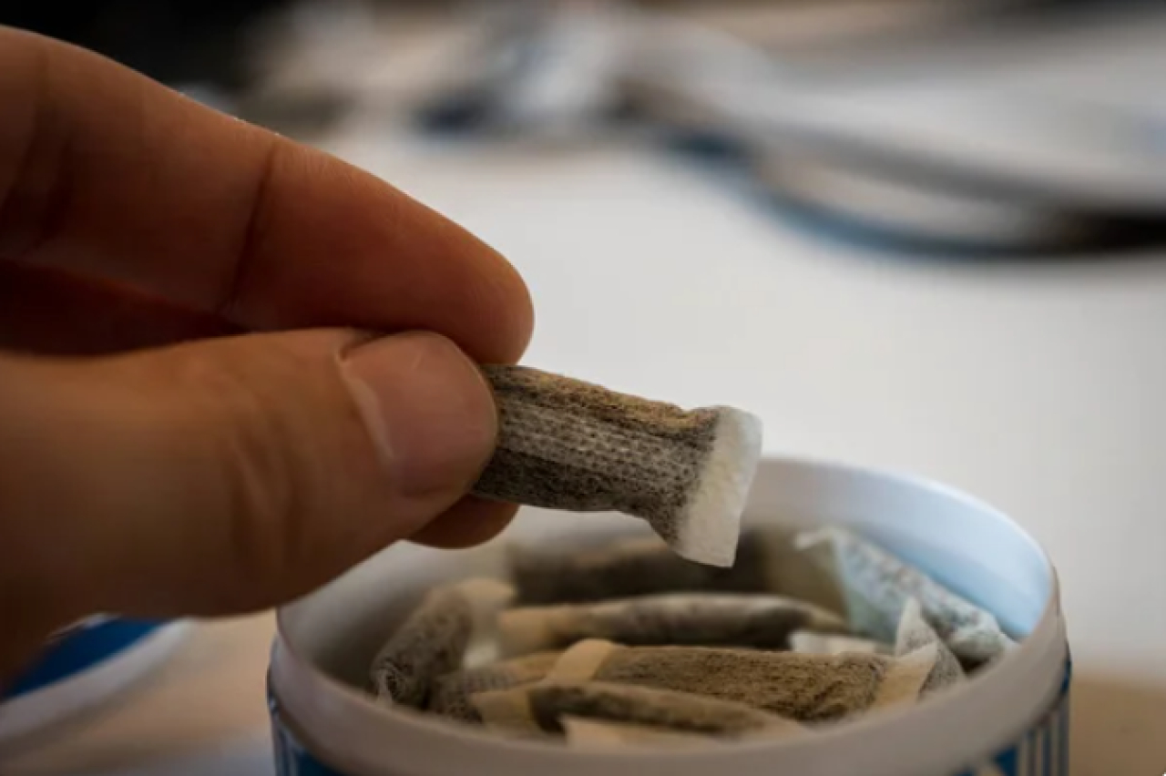 Свыше 30 человек работали в подпольном цехе по производству снюсов в Туркестане