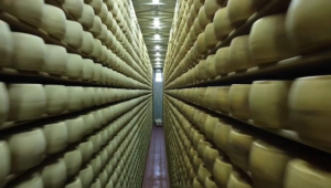 В Италии начали чипировать сыр для защиты от подделок