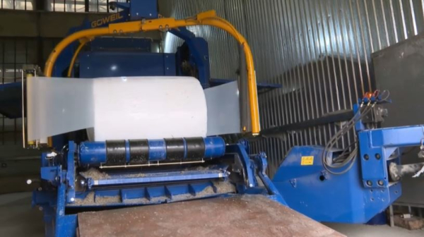 Жетісу облысында қант қызылшасы мен құрағы бірге өңделеді