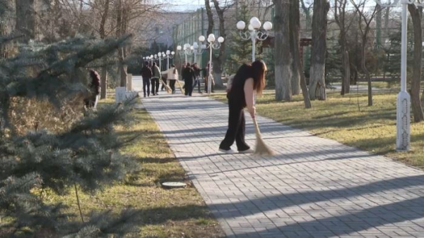 200 тысяч саженцев планируют высадить в Жамбылской области