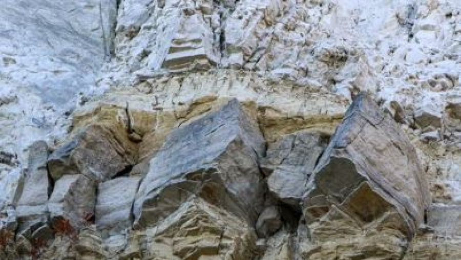 Ввести упрощенную лицензию на переработку ТМО хотят в Казахстане