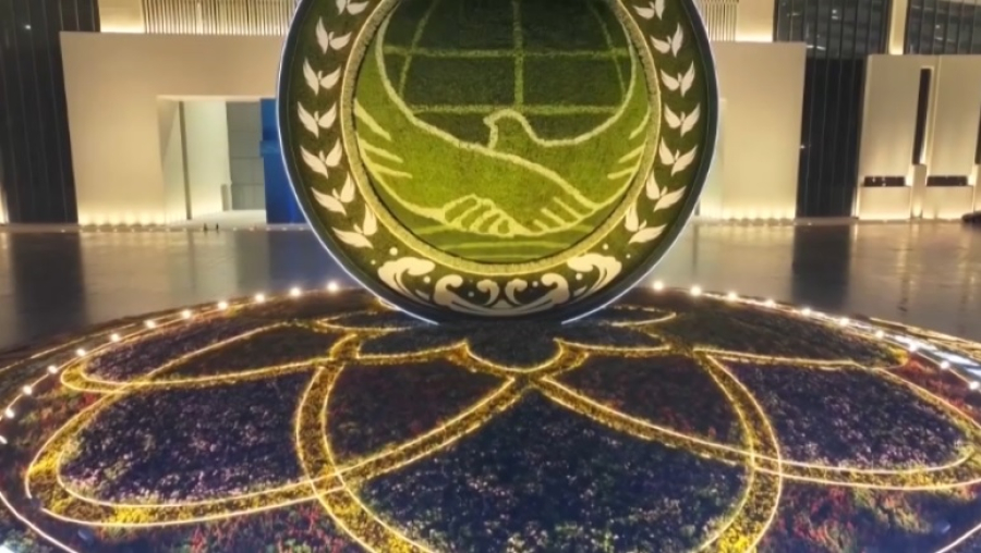 Как создавалась Шанхайская организация сотрудничества