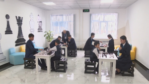 В Казахстане увеличат охват детей шахматами
