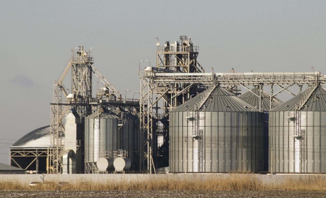 Работница погибла после падения в зернохранилище в СКО