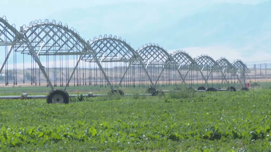 К поливному сезону готовится Туркестанская область