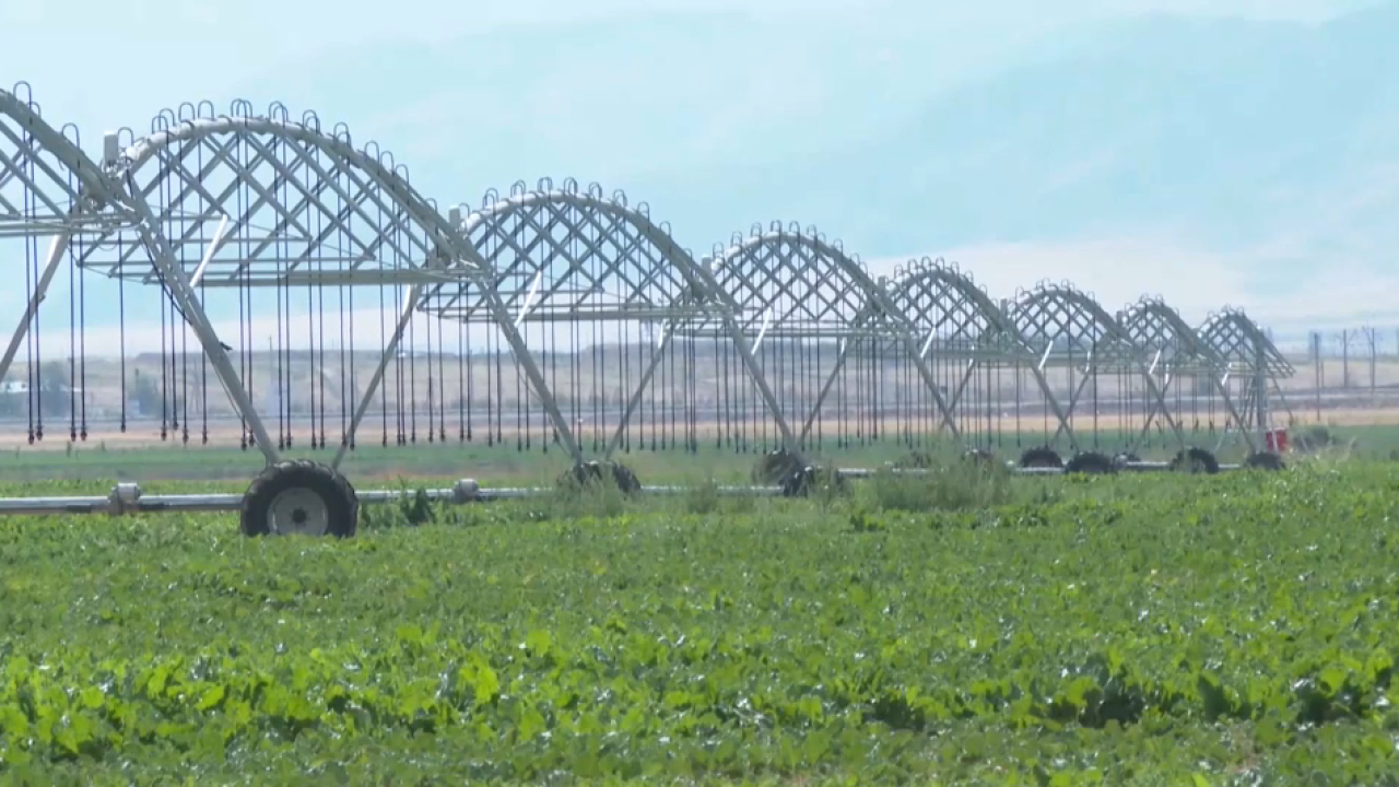 К поливному сезону готовится Туркестанская область