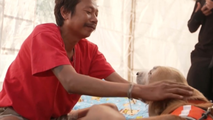 Собаки оказывают эмоциональную поддержку пострадавшим в Таиланде