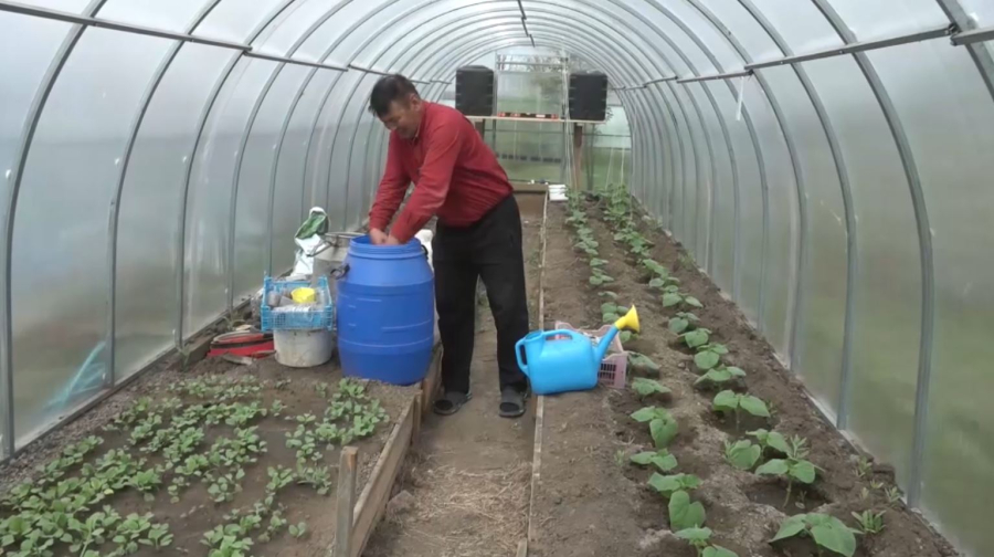 1300 сельчан реализовали бизнес-идеи в ЗКО за 2 года