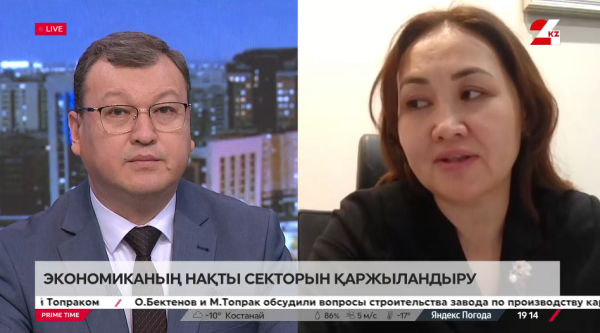 Экономиканың нақты секторын қаржыландыру. Әлия Мырзағалиева