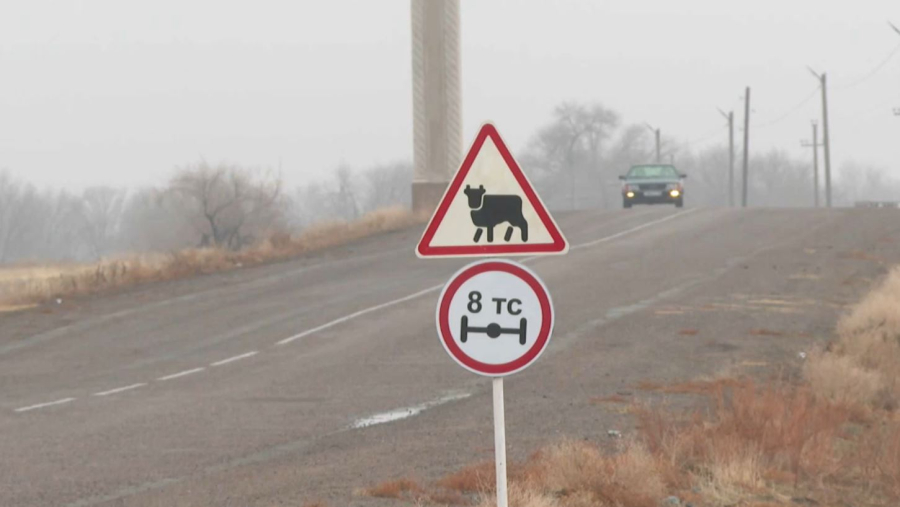 Жамбыл облысы Рысқұлов ауданының шаруалары мал ұрлығының ашылмайтынына шағымданды