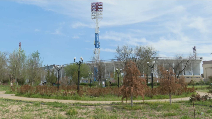 Шымкентте жасыл желек қурап жатыр