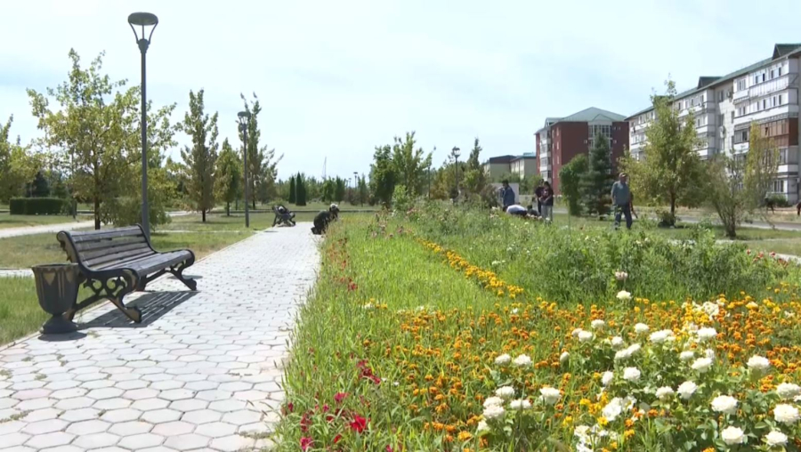 Талдықорғанда экоакция аясында өткен байқау қорытындыланды