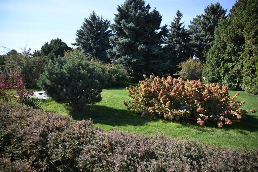 Зелёную зону отдыха обновляют в Алмалинском районе