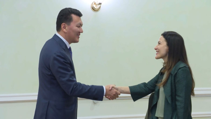 Е. Қарин ЮНИСЕФ-тің аймақтық директоры Реджина Де Доминичиспен кездесті