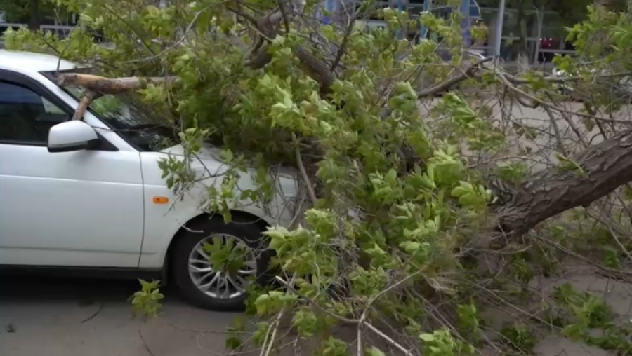 Последствия урагана устраняют в Костанае