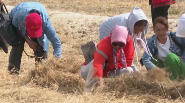 Түркістан облысында «Таза Қазақстан» акциясы жаңа кестеге сай жүргізіледі