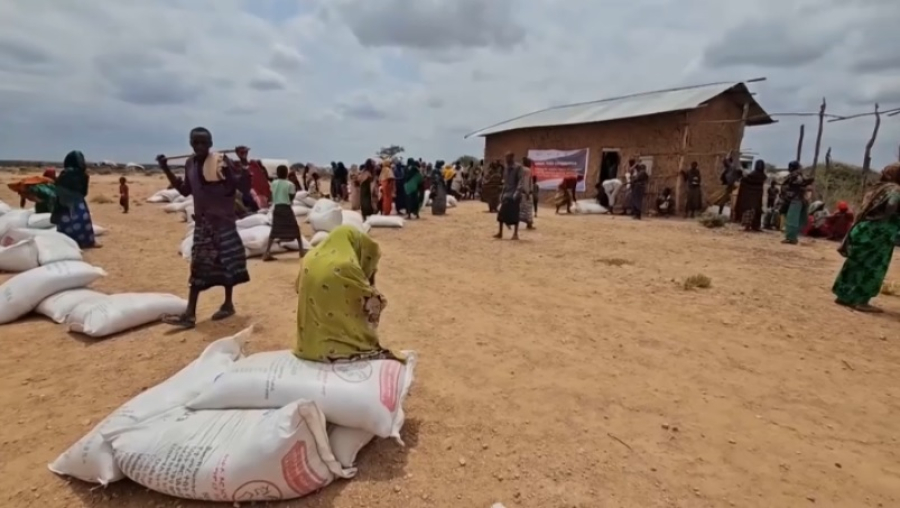 Голод в мире достиг критических масштабов