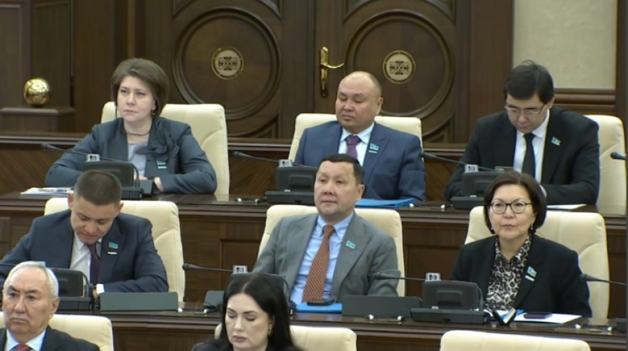 Депутаты Мажилиса приняли 100 законов в 2025 году