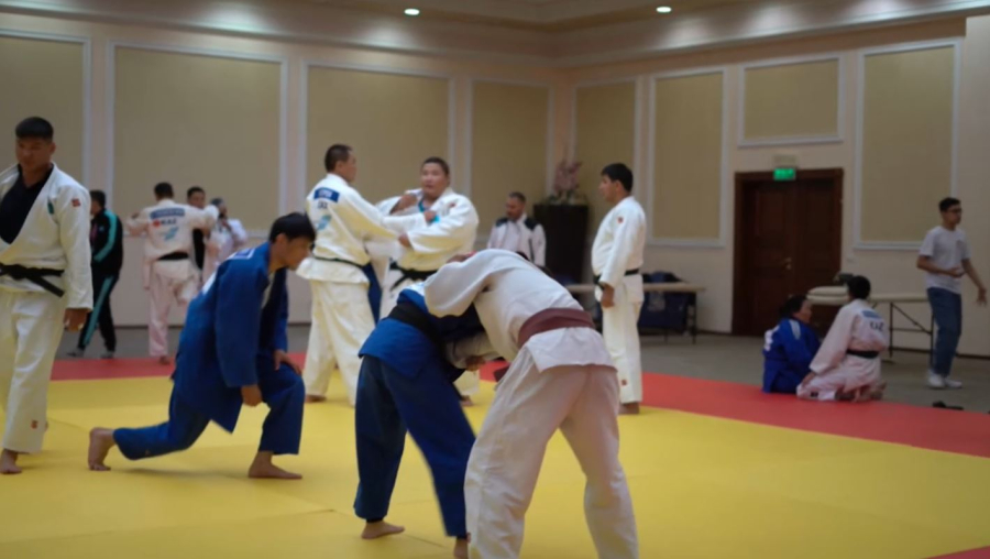 Елде спортшыларға арналған төлемдердің бірыңғай жүйесі енгізілді