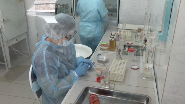 Сенатор: Санитарлық бақылау органдарын қадағалау қажет