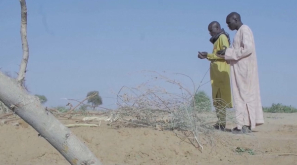 Взрыв в школе Нигерии: погибли семь учеников